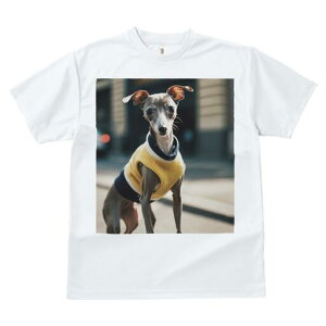 C^AO[nEh TVc fB[X t@  t  vg JWA 킢 lԗp h ̃fUC ʔ Z[^[ C^AO[nEh