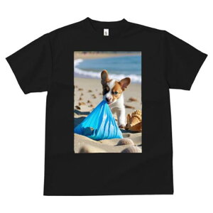 R[M[ TVc fB[X t@  t  vg JWA 킢 lԗp h ̃fUC ʔ r[` R[M[ C  Lk