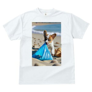 R[M[ TVc fB[X t@  t  vg JWA 킢 lԗp h ̃fUC ʔ r[` R[M[ C  Lk