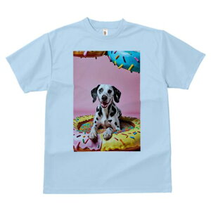 _VA TVc fB[X t@  t  vg JWA 킢 lԗp h ̃fUC ʔ h[ic _VA XvN sN