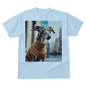 C^AO[nEh TVc fB[X t@  t  vg JWA 킢 lԗp h ̃fUC ʔ Z[^[ C^AO[nEh ^[g