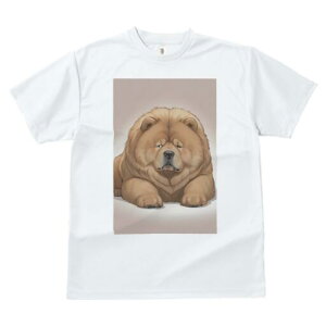 `E`E TVc fB[X t@  t  vg JWA 킢 lԗp h ̃fUC ʔ ӂ `E`E 킢  ʂ