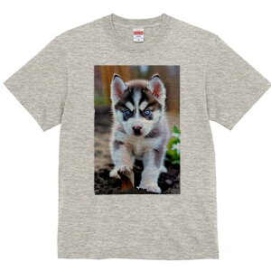 nXL[ TVc fB[X t@  t  vg JWA 킢 lԗp h ̃fUC ʔ  nXL[