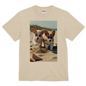 R[M[ TVc fB[X t@  t  vg JWA 킢 lԗp h ̃fUC ʔ l R[M[ C