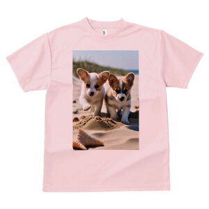 R[M[ TVc fB[X t@  t  vg JWA 킢 lԗp h ̃fUC ʔ l R[M[ C