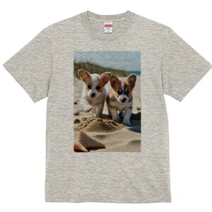 R[M[ TVc fB[X t@  t  vg JWA 킢 lԗp h ̃fUC ʔ l R[M[ C