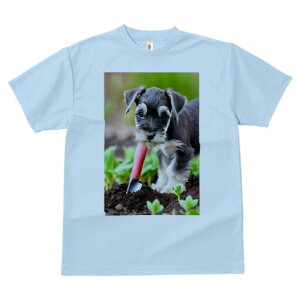 ~j`AViEU[ TVc fB[X t@  t  vg JWA 킢 lԗp h ̃fUC ʔ  ~j`AViEU[ y XRbv A