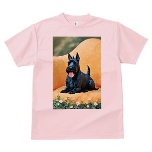 XReBbVeA TVc fB[X t@  t  vg JWA 킢 lԗp h ̃fUC ʔ  XReBbVeA \t@