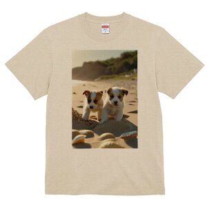 WbNbZeA TVc fB[X t@  t  vg JWA 킢 lԗp h ̃fUC ʔ r[` WbNbZeA C  Lk