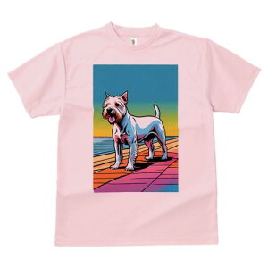 EGXgnChzCgeA TVc fB[X t@  t  vg JWA 킢 lԗp h ̃fUC ʔ C EGXgnChzCge