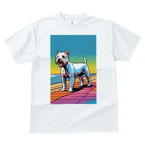 EGXgnChzCgeA TVc fB[X t@  t  vg JWA 킢 lԗp h ̃fUC ʔ C EGXgnChzCge