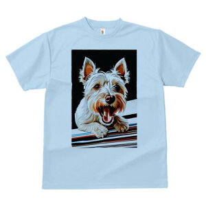 EGXgnChzCgeA TVc fB[X t@  t  vg JWA 킢 lԗp h ̃fUC ʔ TVc EGXgnChzC