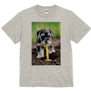 ~j`AViEU[ TVc fB[X t@  t  vg JWA 킢 lԗp h ̃fUC ʔ y ~j`AViEU[  Vx