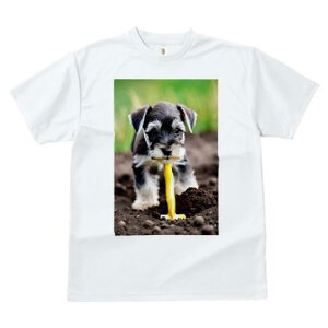 ~j`AViEU[ TVc fB[X t@  t  vg JWA 킢 lԗp h ̃fUC ʔ y ~j`AViEU[  Vx