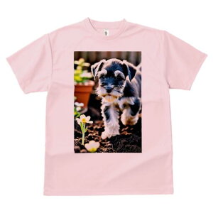 ~j`AViEU[ TVc fB[X t@  t  vg JWA 킢 lԗp h ̃fUC ʔ  ~j`AViEU[  Aؔ