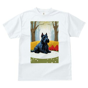 XReBbVeA TVc fB[X t@  t  vg JWA 킢 lԗp h ̃fUC ʔ  XReBbVeA \t@ NbV J[