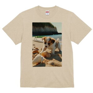 WbNbZeA TVc fB[X t@  t  vg JWA 킢 lԗp h ̃fUC ʔ r[` WbNbZeA C Lk