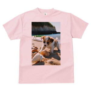 WbNbZeA TVc fB[X t@  t  vg JWA 킢 lԗp h ̃fUC ʔ r[` WbNbZeA C Lk