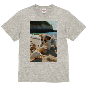 WbNbZeA TVc fB[X t@  t  vg JWA 킢 lԗp h ̃fUC ʔ r[` WbNbZeA C Lk