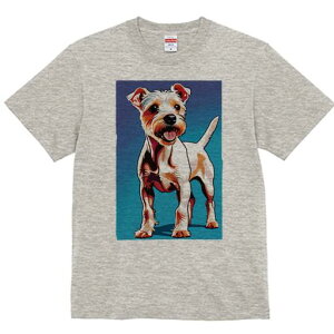 m[tH[NeA TVc fB[X t@  t  vg JWA 킢 lԗp h ̃fUC ʔ m[tH[NeA