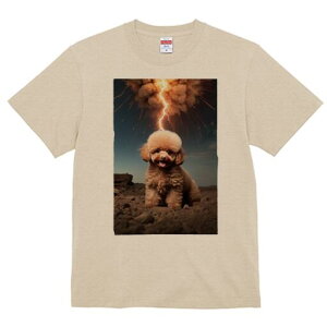 gCv[h TVc fB[X t@  t  vg JWA 킢 lԗp h ̃fUC ʔ  gCv[h  