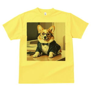 R[M[ TVc Y LbY t@  t  vg JWA 킢 lԗp h ̃fUC ʔ Kl R[M[ X[c lN^C ItBX