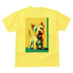 EGXgnChzCgeA TVc Y LbY t@  t  vg JWA 킢 lԗp h ̃fUC ʔ EGXgnChzCge