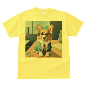 R[M[ TVc Y LbY t@  t  vg JWA 킢 lԗp h ̃fUC ʔ X[c R[M[ lN^C Kl ItBX