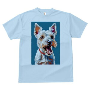 EGXgnChzCgeA TVc fB[X t@  t  vg JWA 킢 lԗp h ̃fUC ʔ  EGXgnChzCge