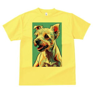 m[tH[NeA TVc fB[X t@  t  vg JWA 킢 lԗp h ̃fUC ʔ m[tH[NeA