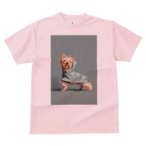 [NV[eA TVc fB[X t@  t  vg JWA 킢 lԗp h ̃fUC ʔ CR[g [NV[eA J