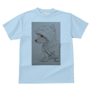 }`[Y TVc fB[X t@  t  vg JWA 킢 lԗp h ̃fUC ʔ CR[g }`[Y