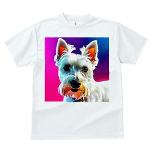 EGXgnChzCgeA TVc fB[X t@  t  vg JWA 킢 lԗp h ̃fUC ʔ EGXgnChzCgeA