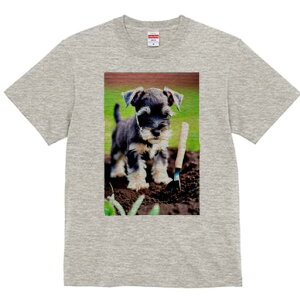 ~j`AViEU[ TVc fB[X t@  t  vg JWA 킢 lԗp h ̃fUC ʔ  ~j`AViEU[ y Vx