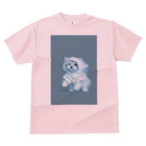 }`[Y TVc fB[X t@  t  vg JWA 킢 lԗp h ̃fUC ʔ CR[g }`[Y