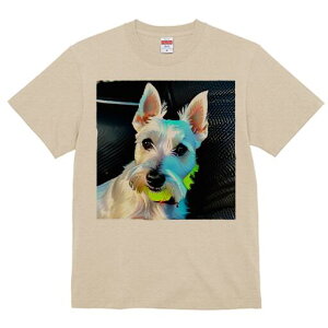 EGXgnChzCgeA TVc Y LbY t@  t  vg JWA 킢 lԗp h ̃fUC ʔ EGXgnChzCge