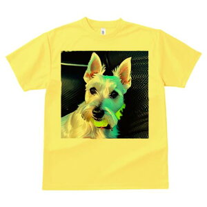 �E�G�X�g�n�C�����h�z���C�g�e���A T�V���c ���f�B�[�X ���t�@�� ���� �t�� ���� �v�����g �J�W���A�� ���킢�� �l�ԗp ���h ���������̃f�U�C�� �ʔ� �E�G�X�g�n�C�����h�z���C�g�e���A