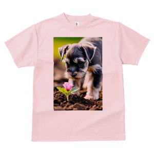 ~j`AViEU[ TVc fB[X t@  t  vg JWA 킢 lԗp h ̃fUC ʔ  ~j`AViEU[ A y