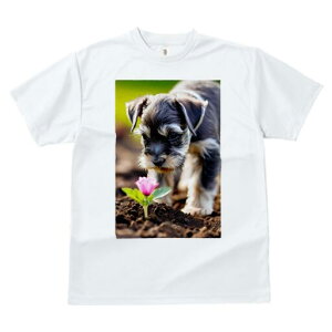 ~j`AViEU[ TVc fB[X t@  t  vg JWA 킢 lԗp h ̃fUC ʔ  ~j`AViEU[ A y