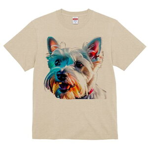 EGXgnChzCgeA TVc fB[X t@  t  vg JWA 킢 lԗp h ̃fUC ʔ EGXgnChzCgeA