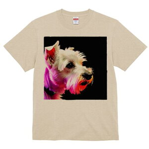 EGXgnChzCgeA TVc fB[X t@  t  vg JWA 킢 lԗp h ̃fUC ʔ EGXgnChzCgeA