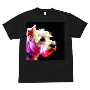 EGXgnChzCgeA TVc fB[X t@  t  vg JWA 킢 lԗp h ̃fUC ʔ EGXgnChzCgeA