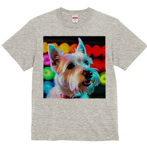 EGXgnChzCgeA TVc fB[X t@  t  vg JWA 킢 lԗp h ̃fUC ʔ wi EGXgnChzCge