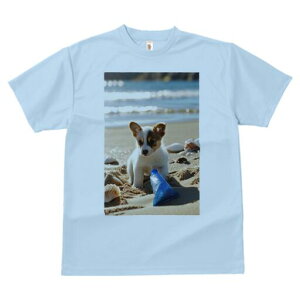 R[M[ TVc fB[X t@  t  vg JWA 킢 lԗp h ̃fUC ʔ r[` R[M[ C  Lk