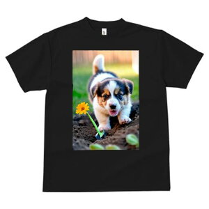 R[M[ TVc fB[X t@  t  vg JWA 킢 lԗp h ̃fUC ʔ  R[M[  y Vx