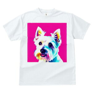 EGXgnChzCgeA TVc fB[X t@  t  vg JWA 킢 lԗp h ̃fUC ʔ EGXgnChzCgeA