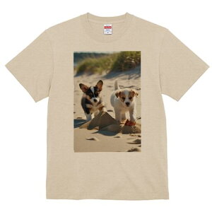 R[M[,WbNbZeA TVc fB[X t@  t  vg JWA 킢 lԗp h ̃fUC ʔ l R[M[,WbNbZe