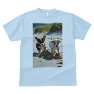 R[M[,WbNbZeA TVc fB[X t@  t  vg JWA 킢 lԗp h ̃fUC ʔ l R[M[,WbNbZe