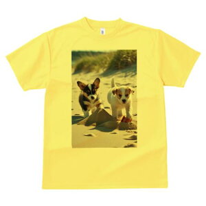 R[M[,WbNbZeA TVc fB[X t@  t  vg JWA 킢 lԗp h ̃fUC ʔ l R[M[,WbNbZe