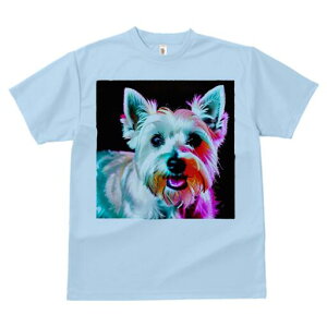 EGXgnChzCgeA TVc fB[X t@  t  vg JWA 킢 lԗp h ̃fUC ʔ EGXgnChzCgeA